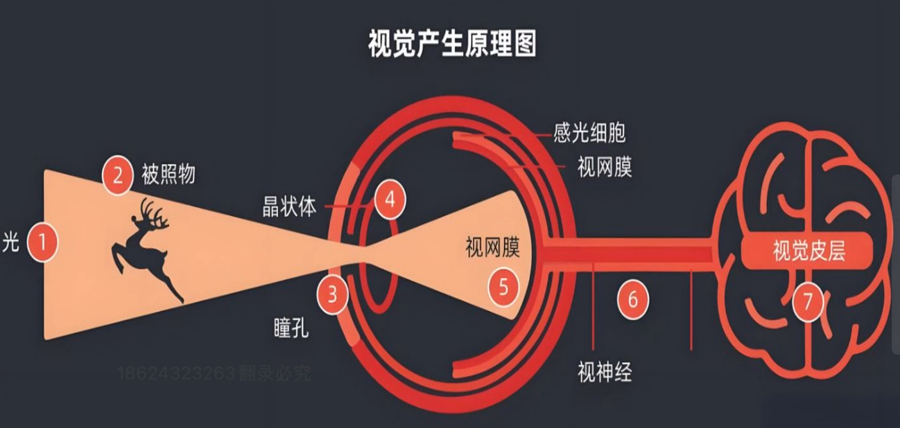 自媒体专题课 抖音 01 短视频底层逻辑-嬉达草创空间