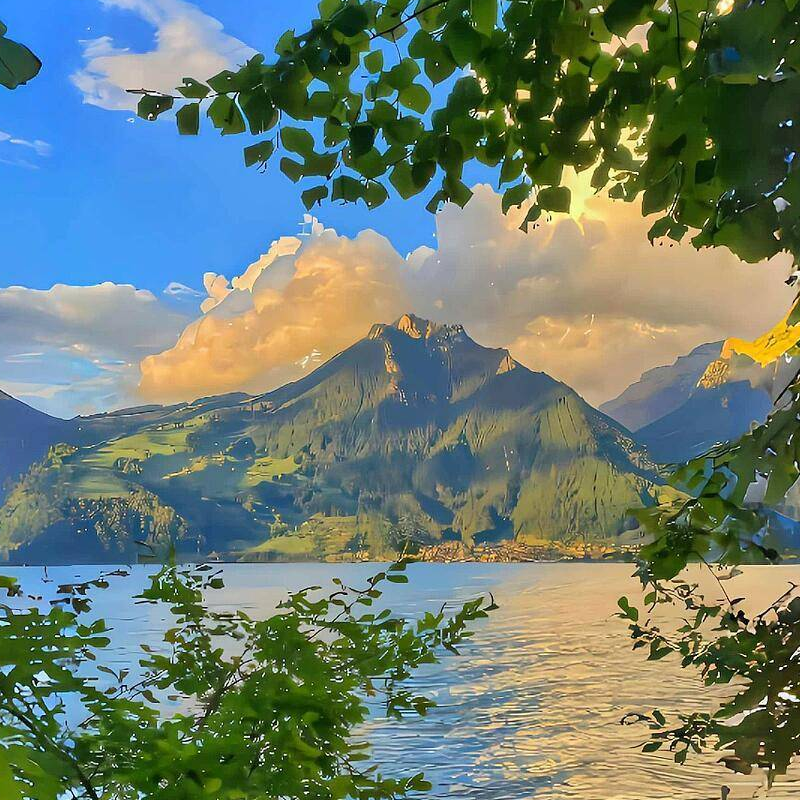 MacOS系统升级后:spotlight索引失效-嬉达草创空间