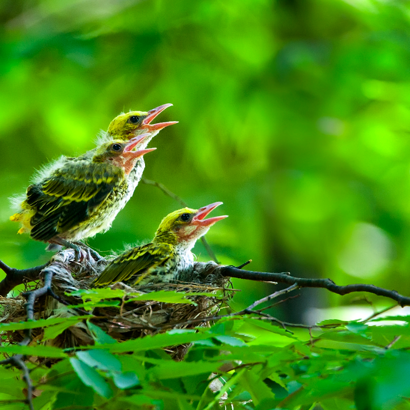 2026-02-08-嬉达草创空间