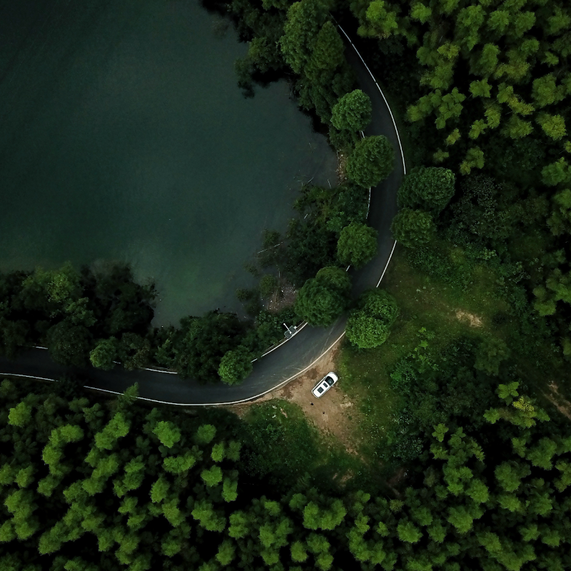 豆包无水印批量下载神器-嬉达草创空间