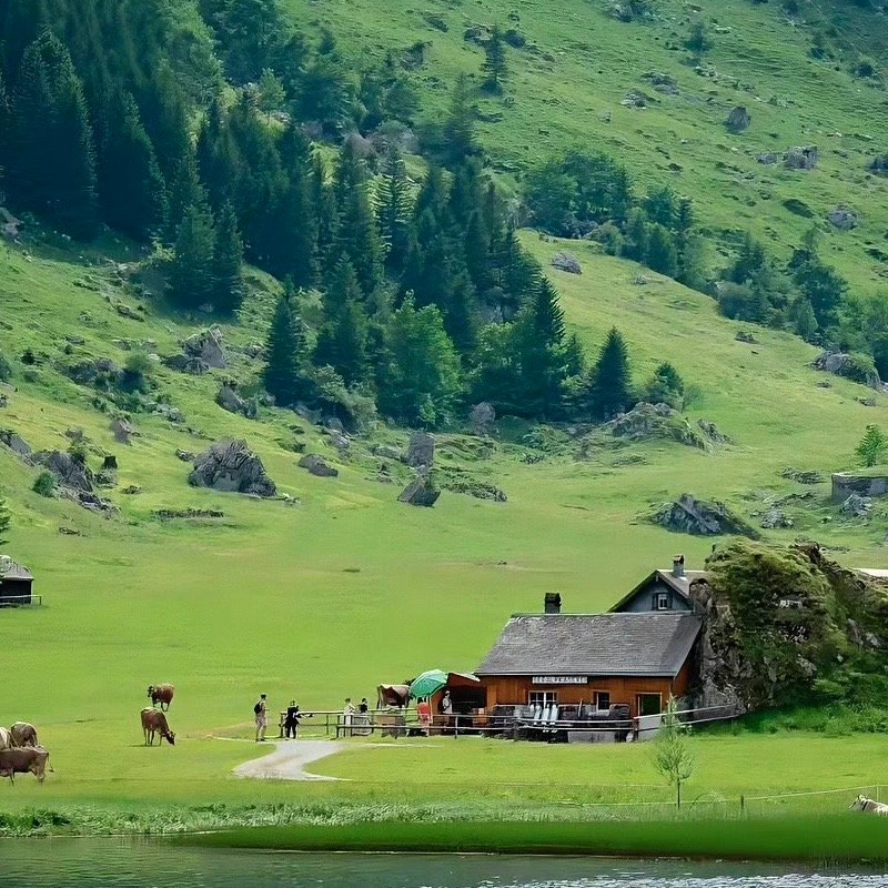 嬉达软件素材资源网